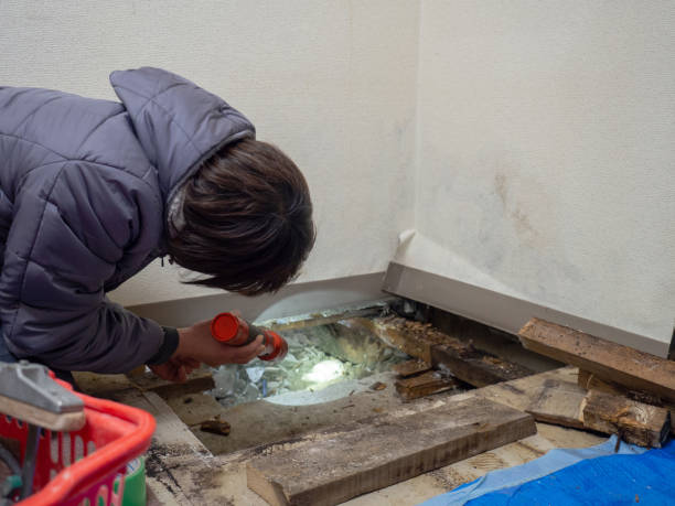 Best Mold Remediation for Vacation Homes  in Elsmere, DE