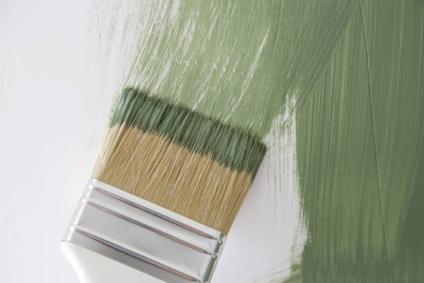 Best Attic Mold Removal  in Elsmere, DE