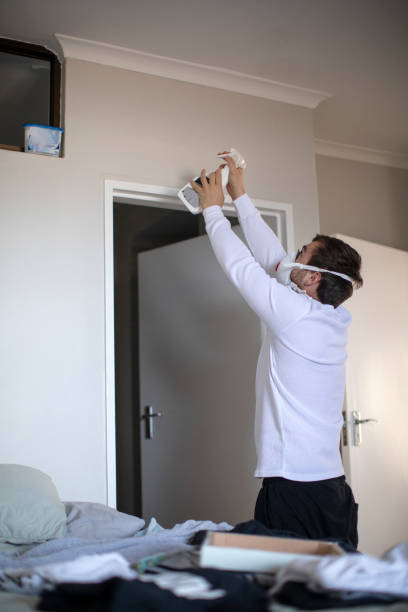 Best Mold Damage Restoration  in Elsmere, DE