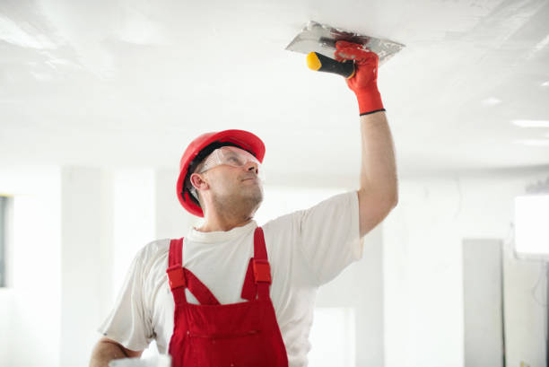 Best Industrial Mold Remediation  in Elsmere, DE