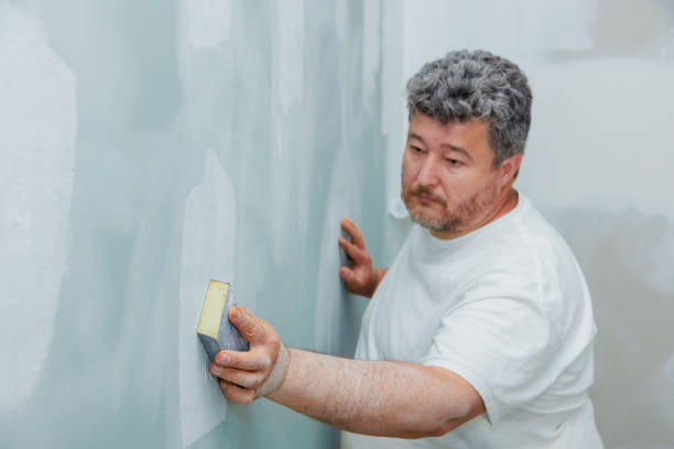 Best Post-Construction Mold Inspection  in Elsmere, DE